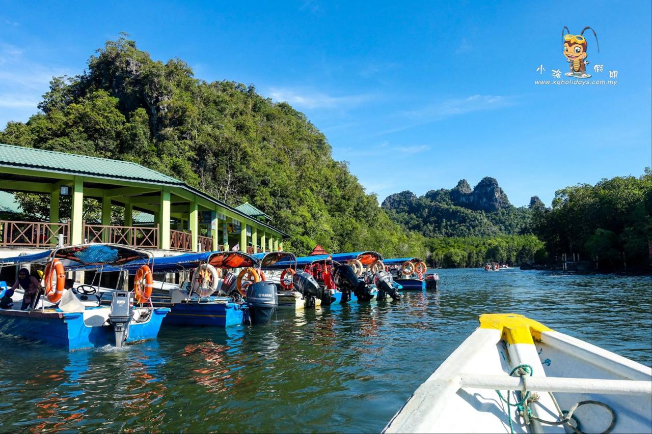 Jelajahi Pesona Hutan Bakau Langkawi